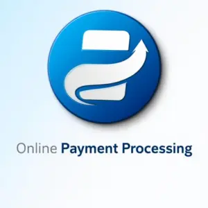 Online Payment Processing